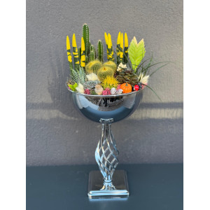 ÖZEL LÜX CANLI TERARYUM